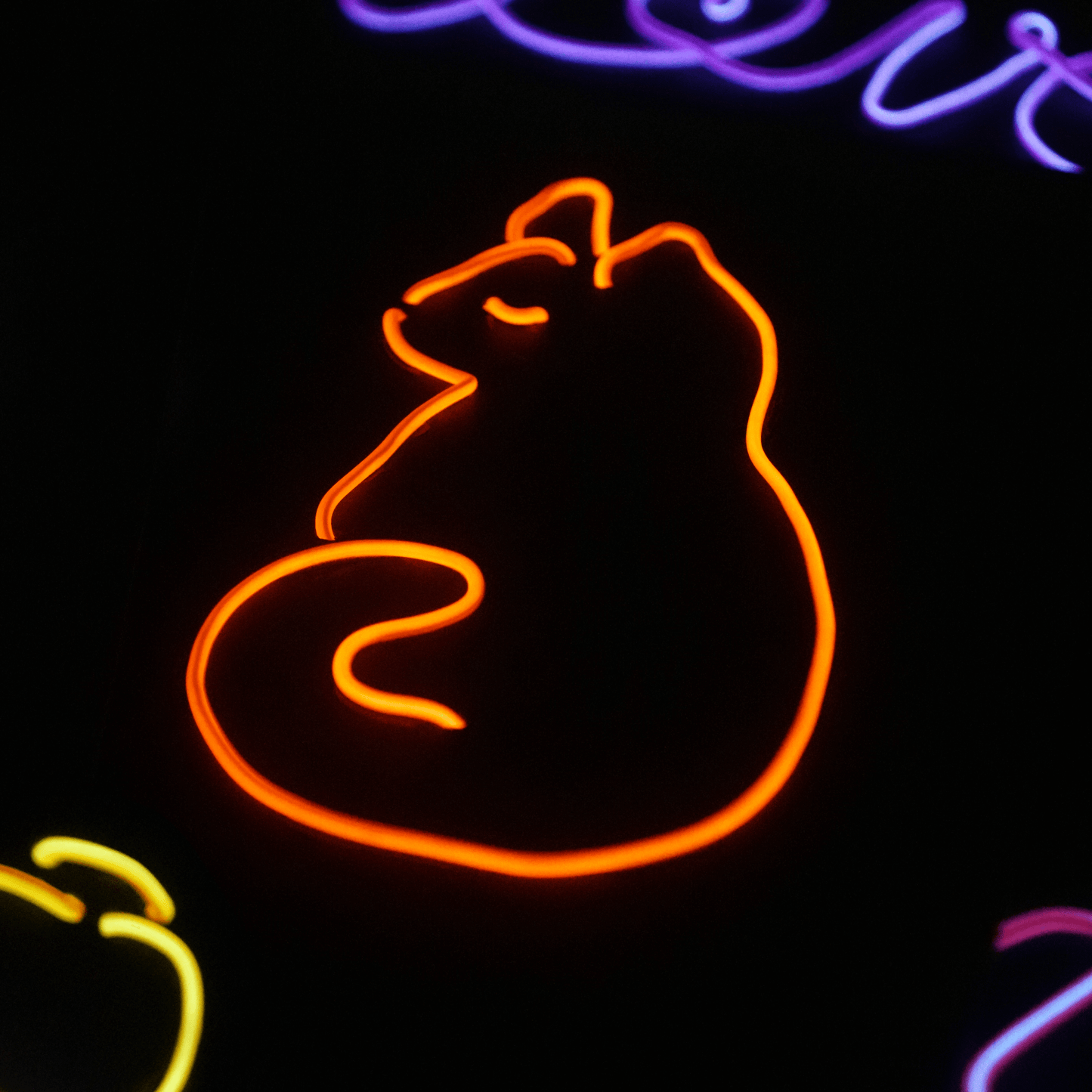 Neon Light Workshop