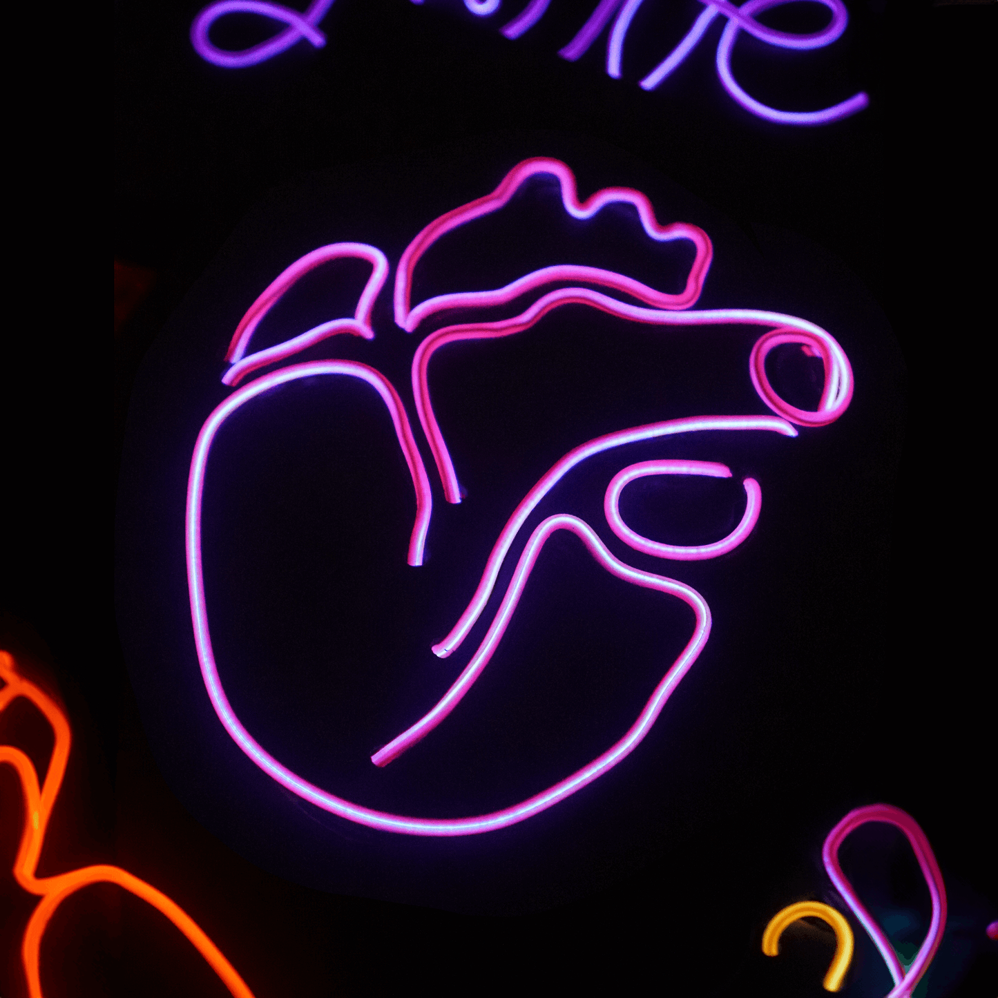 Neon Light Workshop
